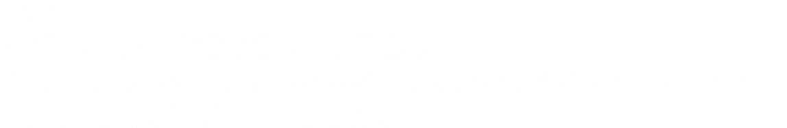 「以戰力來說，我認為是有其必要性的。只是，我們的目標是從能力者手中奪回自由，卻要借助能力者的力量，還是來自其他分部的，這總覺得有些……」-天使